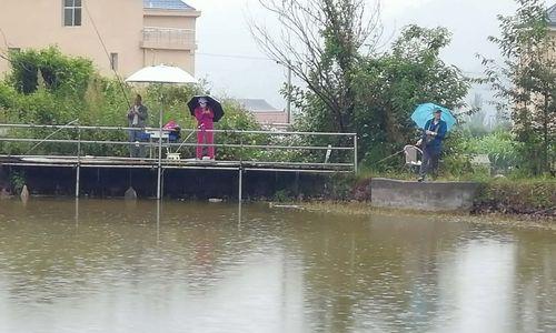 夏季雨天河钓技巧（雨天河钓经验分享）  第1张