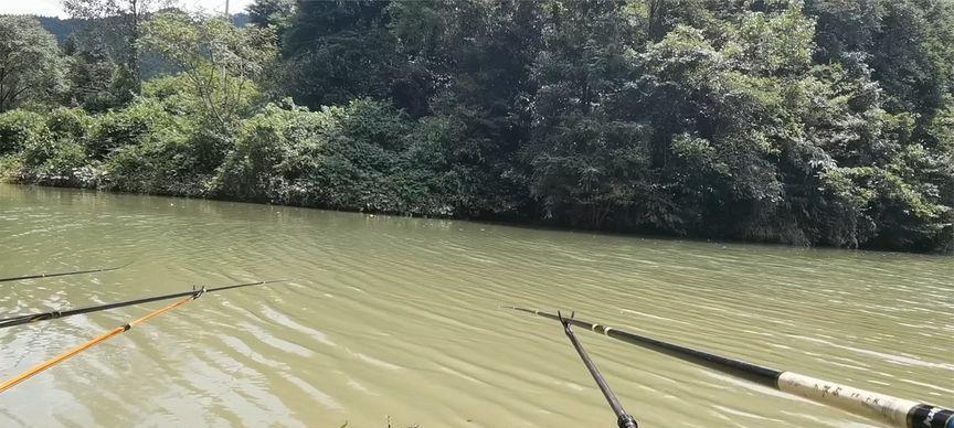 夏季在野塘钓鱼的技巧（享受夏日清凉）  第1张