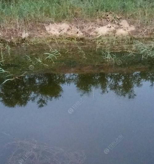 夏季早晨野钓技巧（享受早晨宁静）  第1张