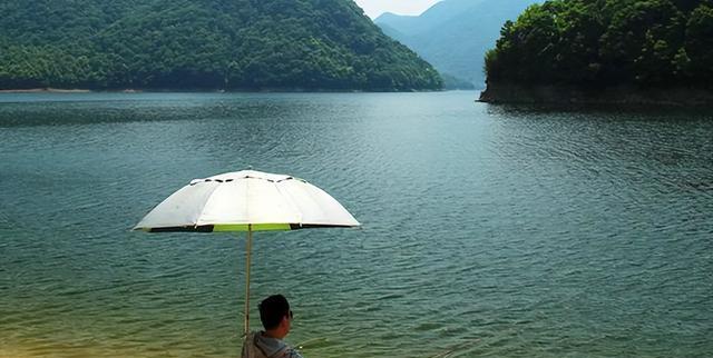 夏日午时，池塘垂钓（夏季钓鱼技巧大揭秘）  第1张