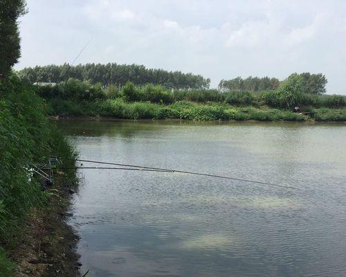 夏末雨后河流野钓技巧（湖泊钓鱼心得分享）  第1张