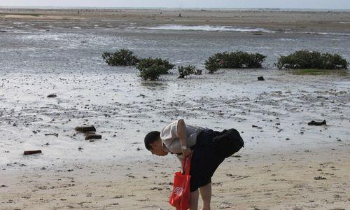 夏日奇遇冲浪钓鱼技巧（畅享夏日冲浪）  第1张