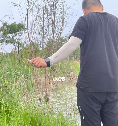 夏天暴雨钓鱼技巧（雨中捕获丰富鱼群）  第1张