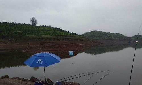 夏日暴雨后的钓鱼技巧（掌握关键）  第1张