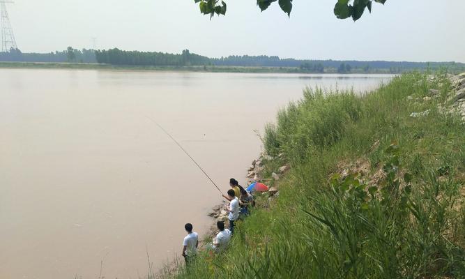 夏天大太阳下钓鱼的技巧与方法（夏日钓鱼）  第1张