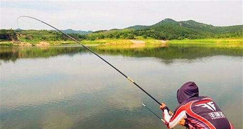 夏日钓鱼扒草技巧（夏天钓鱼的技巧与注意事项）  第1张