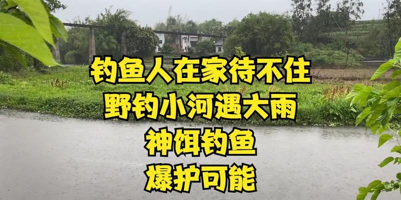 手竿钓鱼技巧（以小河为例）  第1张