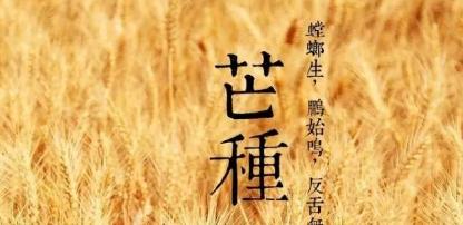 以小满到芒种期间钓鱼技巧（掌握钓鱼技巧）  第1张