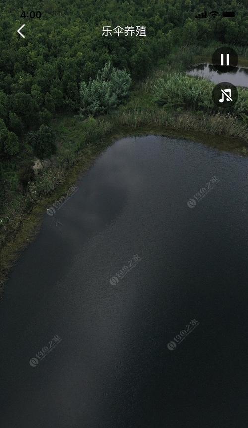 小炮坑垂钓技巧，快速提升你的钓鱼水平（掌握小炮坑垂钓技巧）  第1张