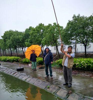 雨天钓鱼的技巧与心得（以小水库为背景）  第1张