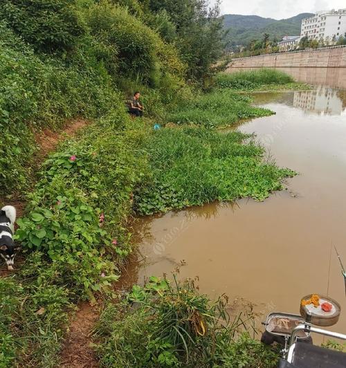 小湾钓鱼技巧与方法（掌握钓鱼技巧）  第1张