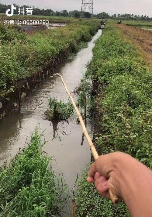 小溪河流钓鱼技巧（掌握钓鱼秘籍）  第1张