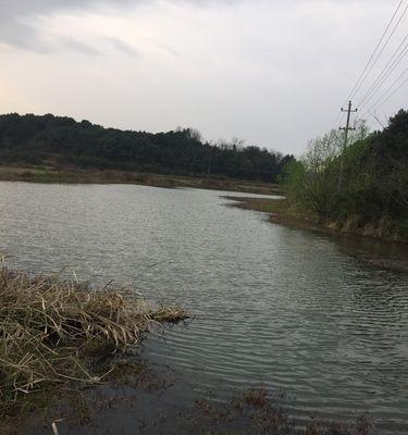 小溪排水口钓鱼技巧（探索流水中的美味——小溪排水口钓鱼技巧）  第1张