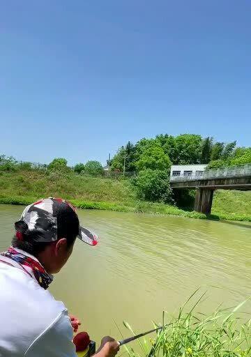 小溪野钓重唇鱼技巧（掌握好这些技巧）  第1张