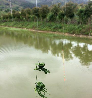 小鱼钩钓鱼的技巧与方法（从选钩到钓饵）  第1张