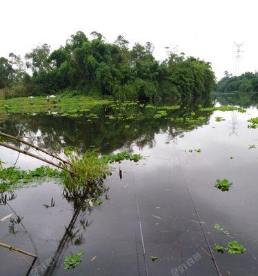 小雨钓鱼的技巧及方法教程（钓鱼爱好者必读的小雨钓鱼攻略）  第1张