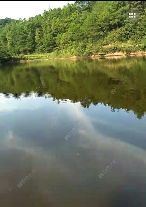 小雨天鱼塘钓鱼技巧（享受宁静雨中）  第1张