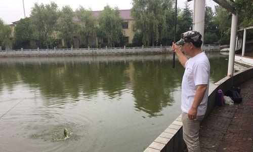 小雨中垂钓技巧（享受小雨中的钓鱼乐趣）  第1张