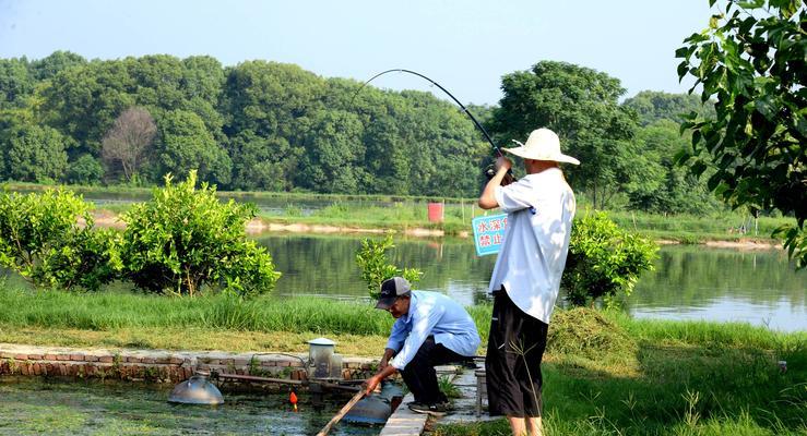 野钓技巧大全（掌握钓鱼技巧）  第1张