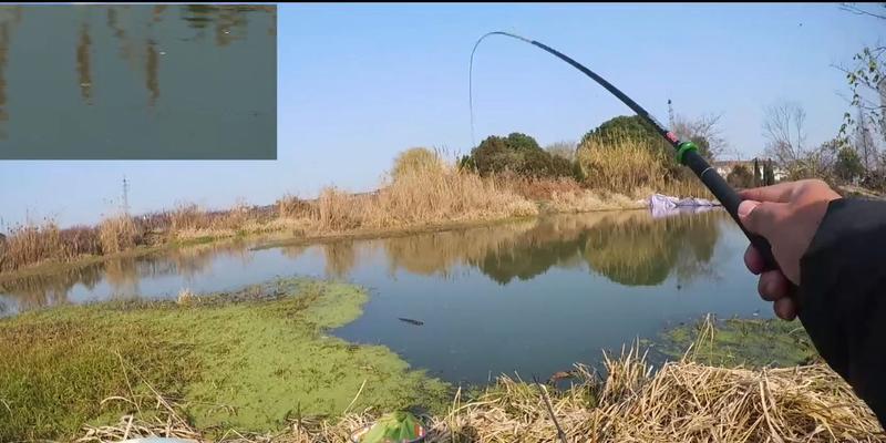 以野钓钓竿为主的最佳调漂方法和技巧（揭秘野钓调漂绝技）  第1张