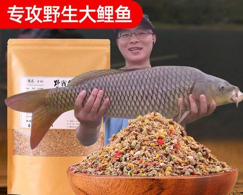 野钓鲤鱼的调料技巧（提升钓鲤鱼成功率的必备秘籍）  第1张