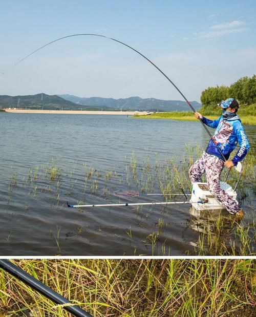 以野钓钓鲤鱼起竿控鱼技巧（野钓鲤鱼）  第1张