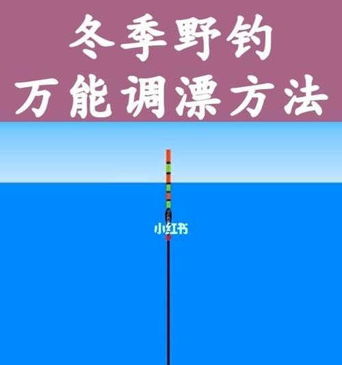 野钓调漂技巧与方法（掌握关键诀窍）  第1张