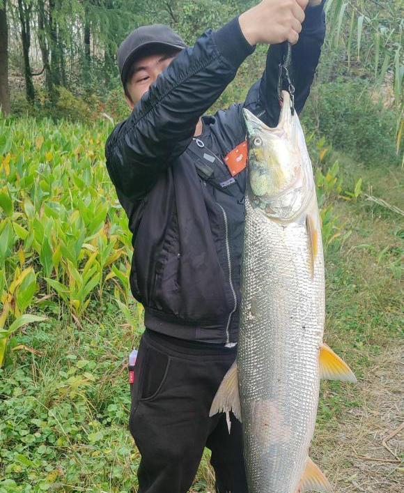 掌握野钓鳡鱼的技巧（提高成功率的关键是什么）  第1张