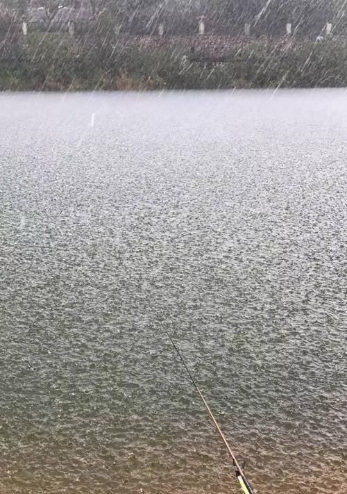 野钓河道钓鱼技巧与方法（探秘河道中的钓鱼技巧）  第1张