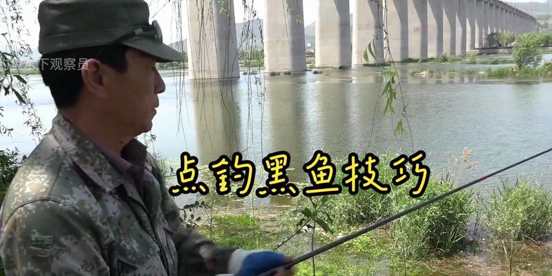 野钓黑鱼的绝妙技巧（捕获巨型黑鱼的秘籍揭秘）  第1张