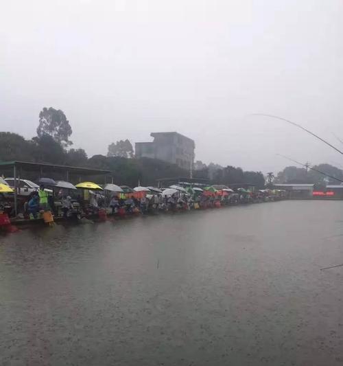 雨天钓鱼技巧（乐享鱼儿天堂指南详解）  第1张