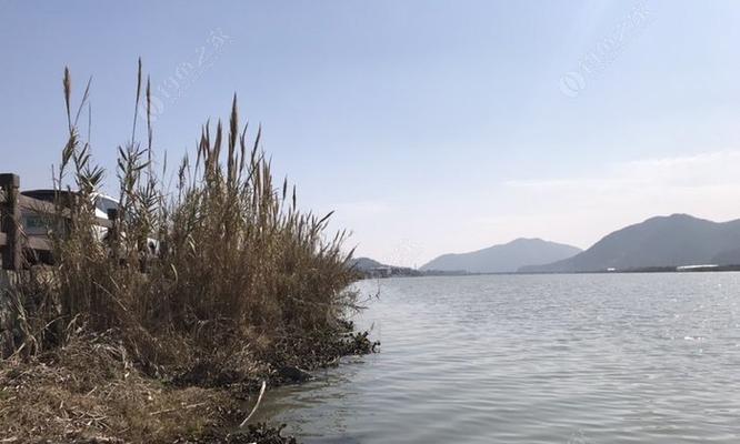 野塘钓鱼选位技巧（实用选位技巧帮你提升野塘钓鱼效果）  第1张