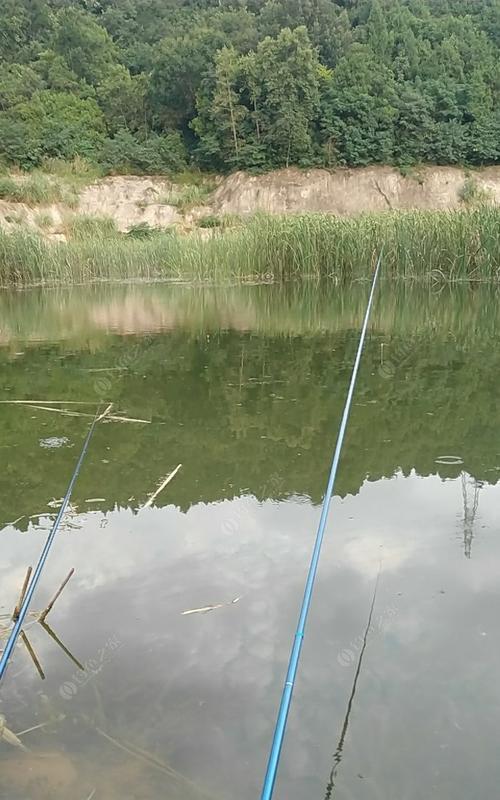 野塘下杆钓鲫鱼技巧（掌握这些技巧）  第1张