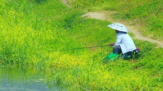 黄翅鱼垂钓技巧（掌握黄翅鱼垂钓的诀窍）  第1张