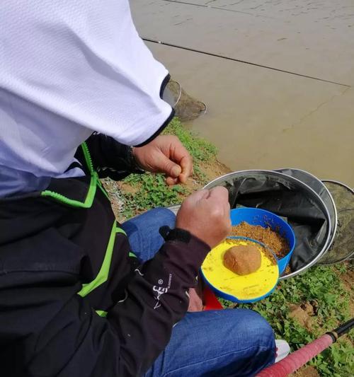 野外垂钓技巧——捕捉野鲫鱼的秘籍（如何成为野鲫鱼的捕食专家）  第1张