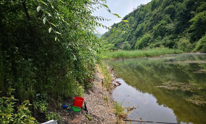 深圳野外钓鱼技巧教程（掌握深圳钓鱼技巧）  第1张