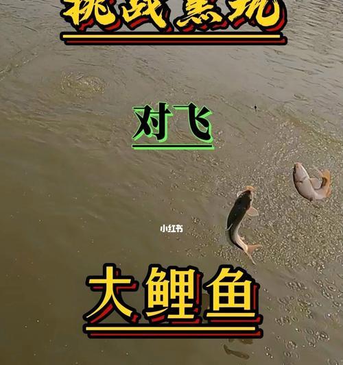 野外钓鱼经验技巧总结（提升钓鱼技巧）  第1张