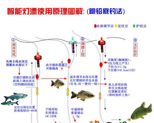 夜钓调漂的最佳方法和技巧（一起来探讨钓鱼专家教你的夜钓调漂秘籍吧）  第3张