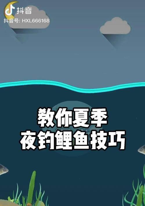 夜钓的注意事项和技巧（享受夜晚的安静与乐趣）  第2张