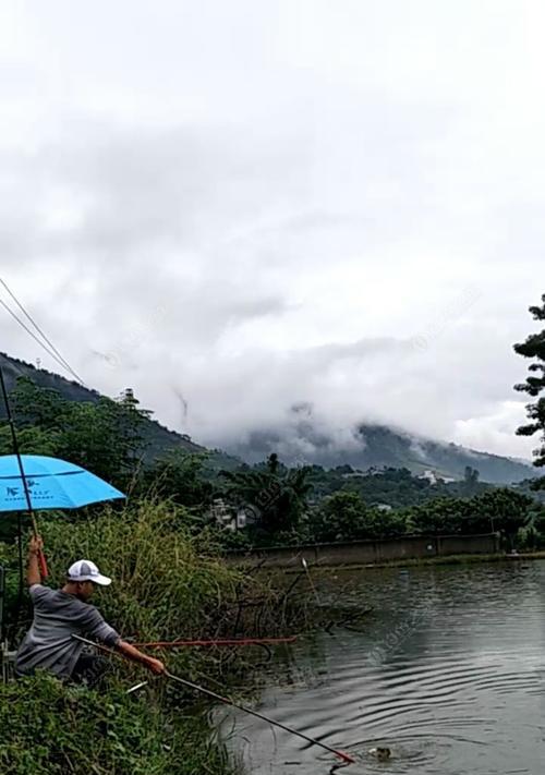 夜雨下的钓鱼乐趣（技巧揭秘）  第1张