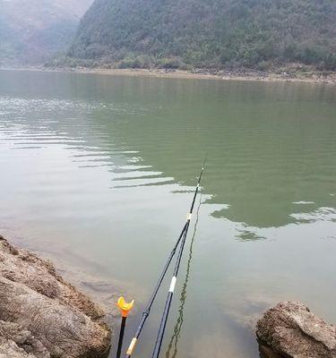 夜晚钓鲫鱼的调漂技巧（掌握好钓鲫鱼的关键技巧）  第3张