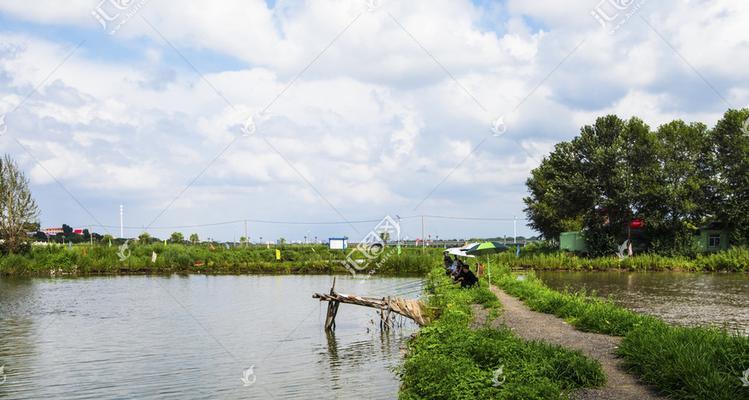 鱼池垂钓技巧与方法大揭秘（掌握垂钓技巧）  第3张