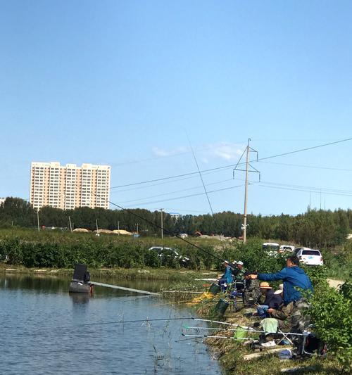 鱼池放水钓鱼技巧（掌握鱼池放水钓鱼的窍门）  第1张