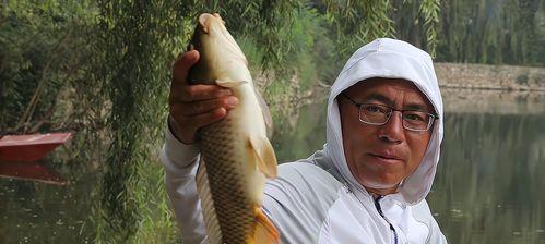 沉底钓鱼技巧——以鱼饵为诱饵（钓鱼技巧）  第2张