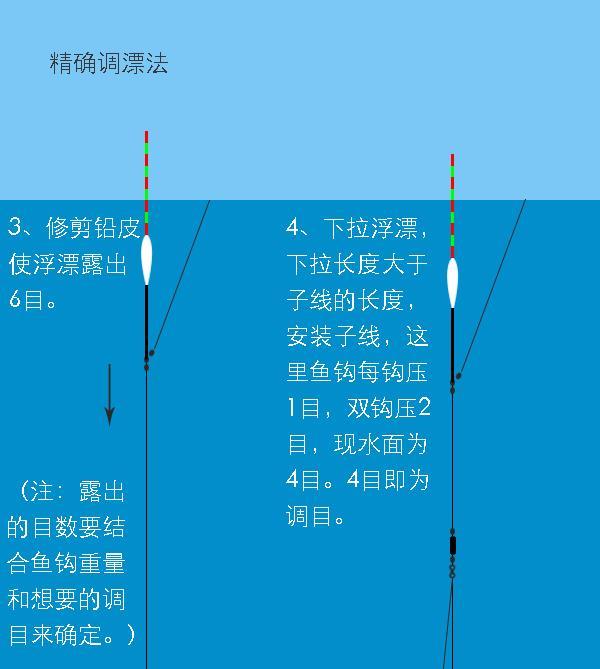 丁香鱼饵调漂方法与技巧（提升钓鱼成功率的关键技巧）  第2张