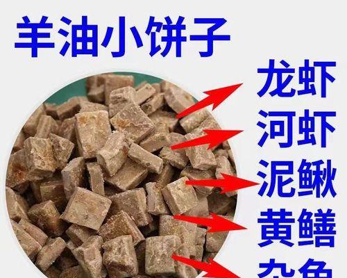 提升钓鱼技巧的秘密武器——鱼饵加羊油（钓鱼必备技巧）  第3张