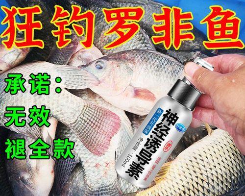 鱼饵添加剂的使用与技巧（提升钓鱼成功率的关键）  第1张