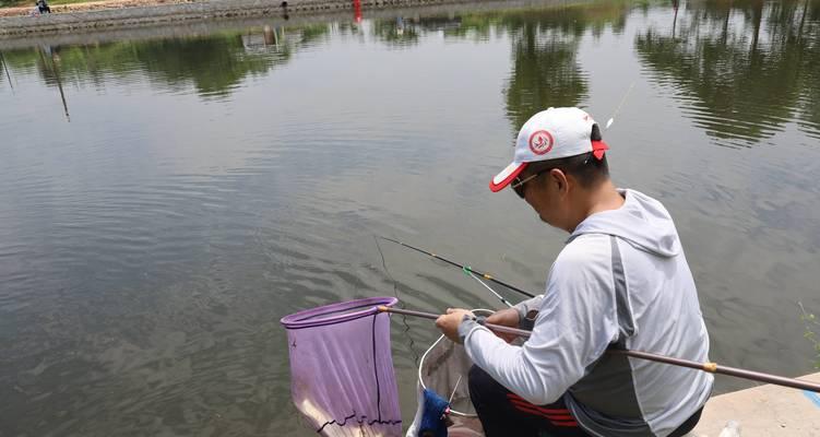 水中天堂——以鱼浮水面钓鱼技巧（一网打尽的绝佳方式）  第2张