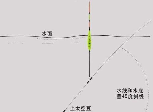 探秘鱼竿钓鱼调漂技巧（提升钓鱼技术）  第1张