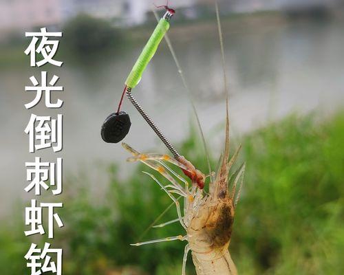 钓龙虾的方法与技巧（掌握钓龙虾的秘诀）  第2张